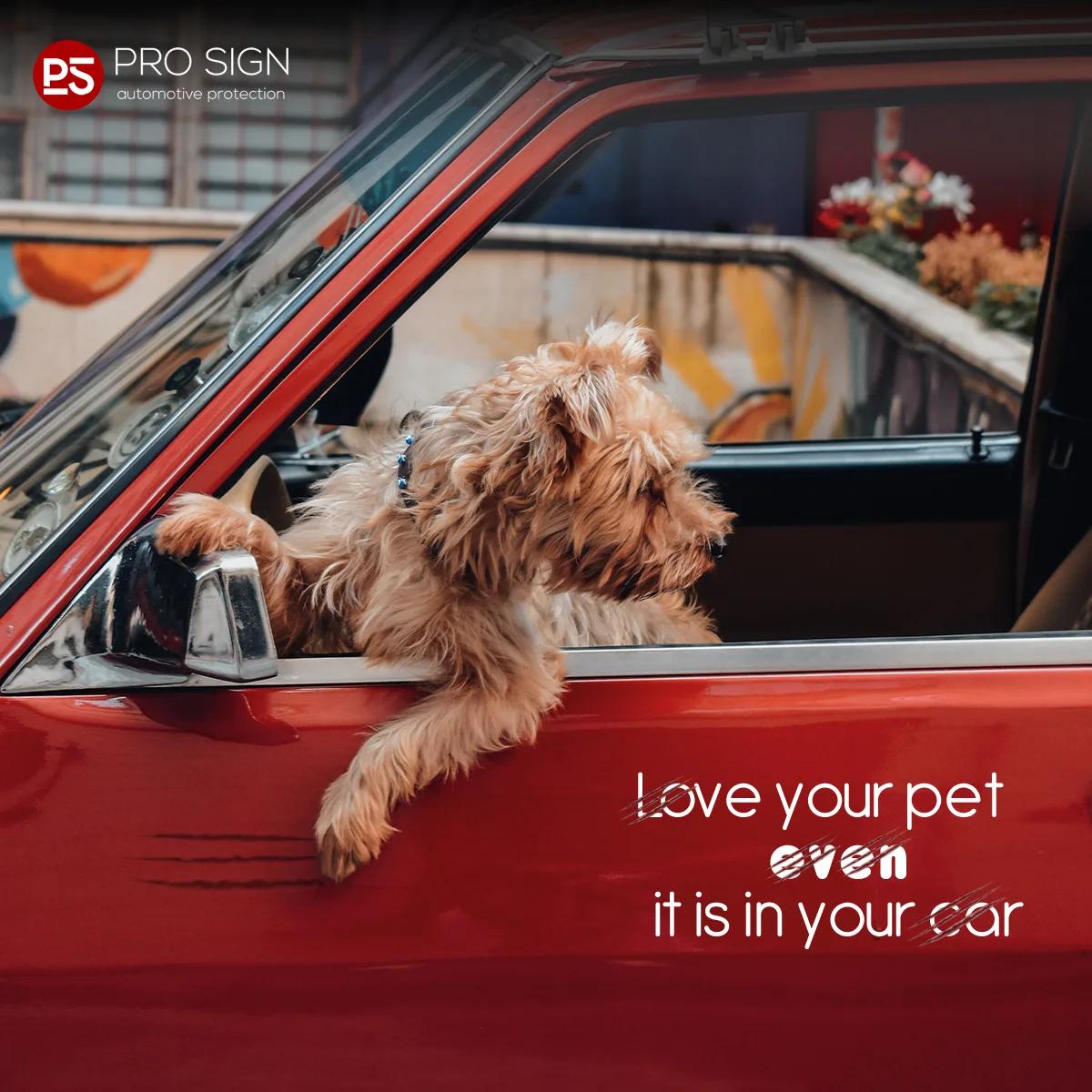 pro sign — social media — 05