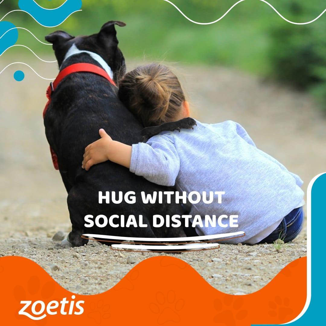 zoetis — social media — 02