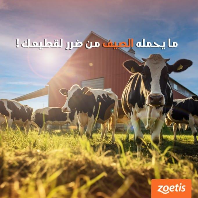 zoetis — social media — 05