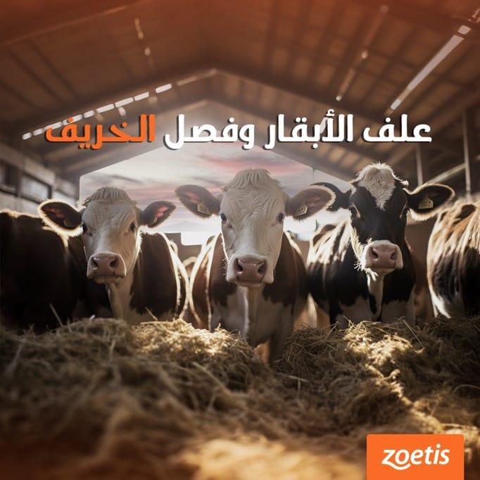 zoetis — social media — 06