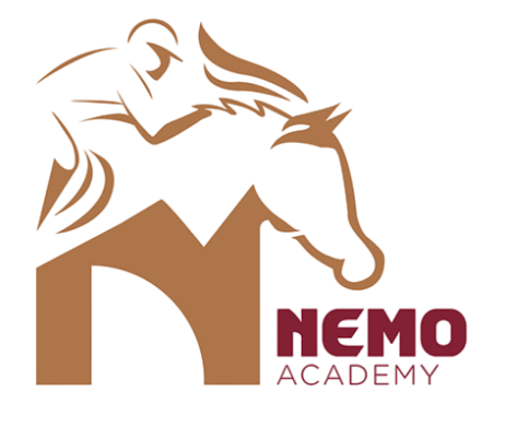 Nemo logo