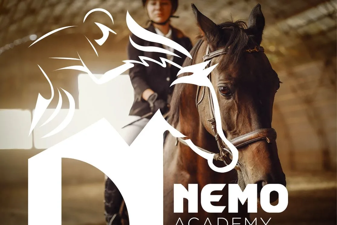 Nemo — Brand Identity