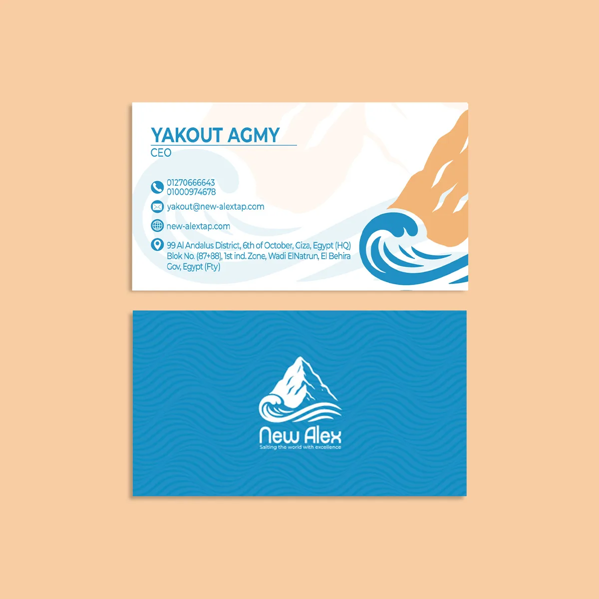 New Alex — Brand Identity