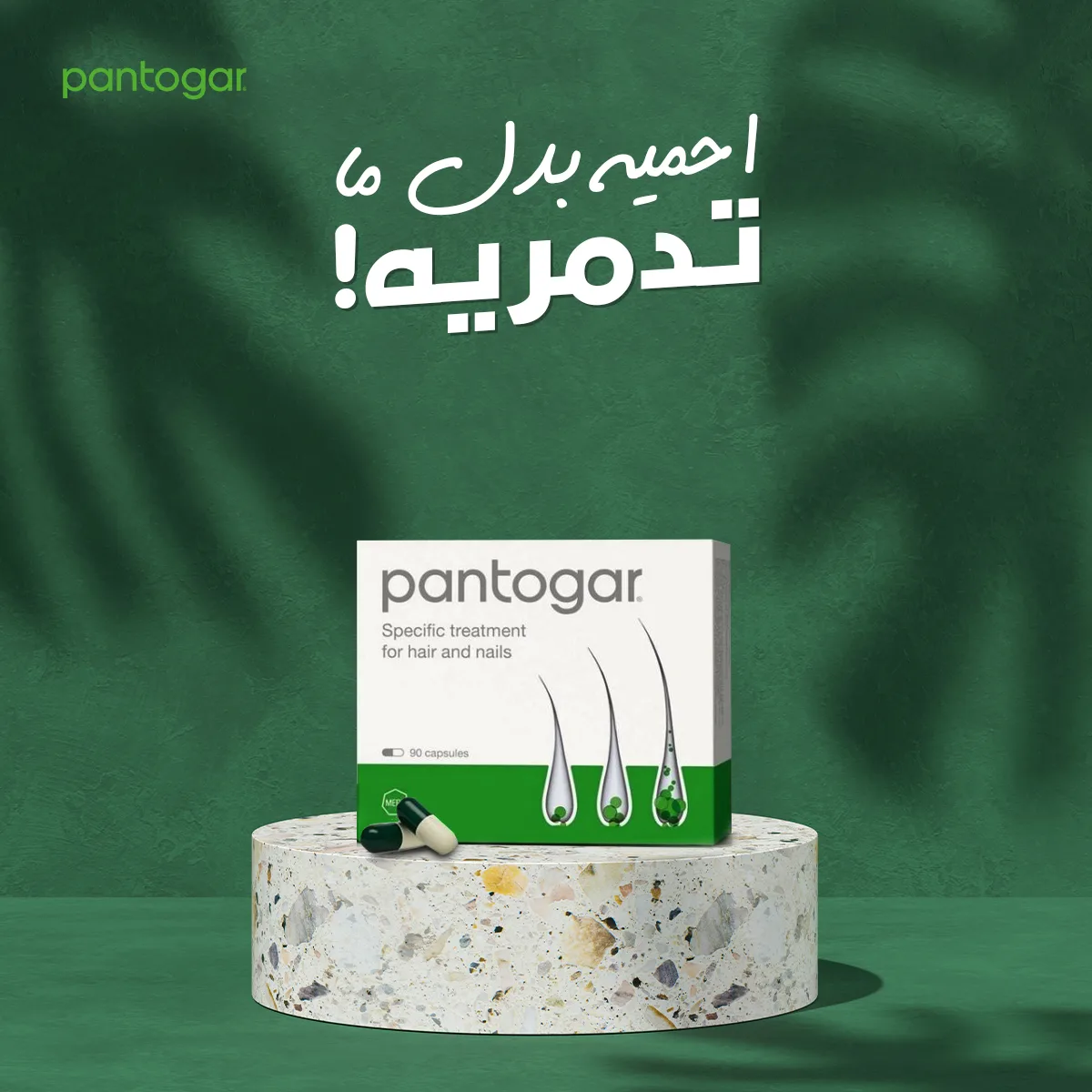 Pantogar — Social Media