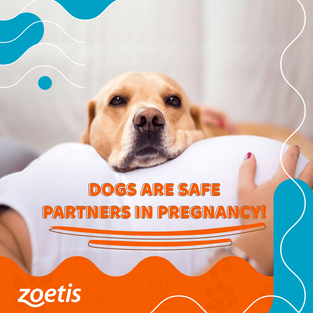 Zoetis — Social Media